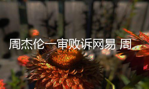 开庭易 周杰周杰网易案二伦一伦诉审败诉网审将