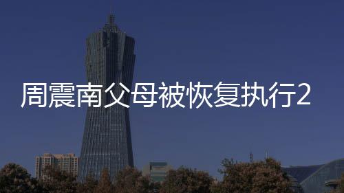 南父金融借款纠纷母被元 周震执行万余涉及恢复