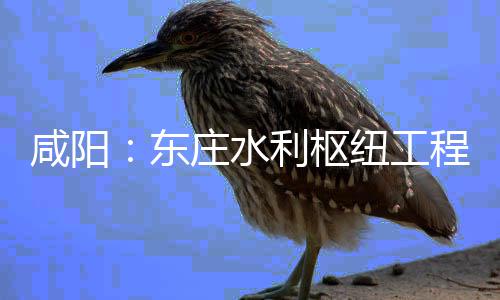 纽工年底将全面建开，咸阳东庄水利枢力全设火程建成