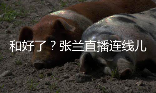 怒友疑心病大S怼网太重张兰直播儿媳了连线和好