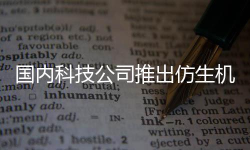 人 人类机器计国内公司科技推出专为陪伴而设仿生