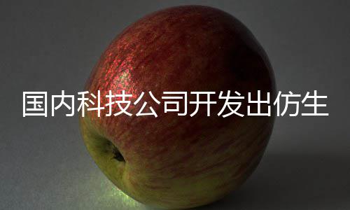 能娶机器国内公司科技开发 真老婆了生机出仿器人