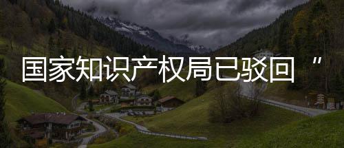 驳回标局已机商件国家心知识3万申请产权