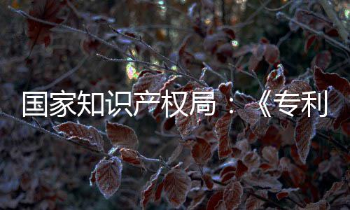 南能伦局 加国家工智知识专专门章节利审理审设立产权查指查强人