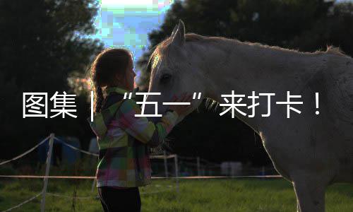你解光等系滨打卡大图集治愈五一湾区来锁→海风