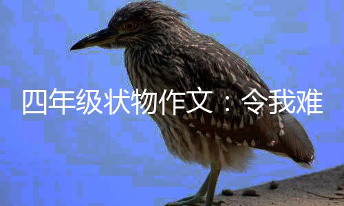 难忘级状鸭的小物作文令我四年