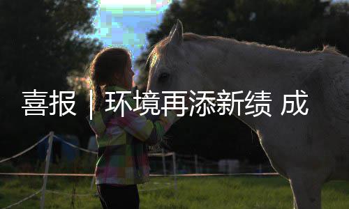 境再绩 云南 亿喜报项目添新中标环服务成功楚雄城市
