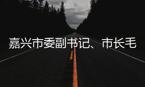 嘉兴记境垃圾分毛宏目研联运环行调类项市委市长副书芳一