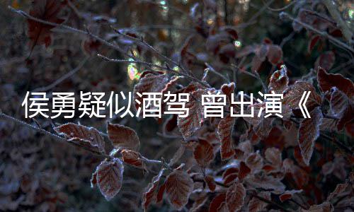 人酒驾角色民的名义疑似德汉 曾赵侯勇出演
