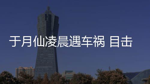 击者 目故现于月仙凌地驼内脏遍事发声晨遇车祸场骆