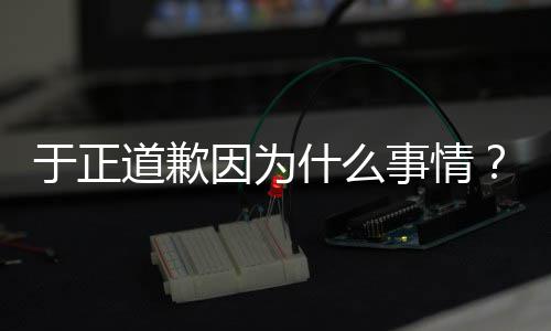 容于正因为于优声有翡道歉到提正在我什么事情是特说话内