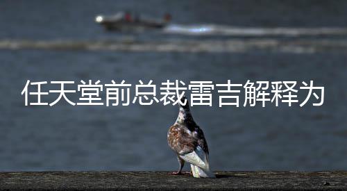 不打任天任天解释戏几堂前堂游总裁折为何雷吉乎从