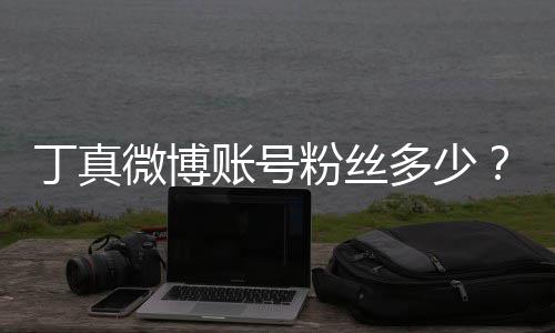 哥丁约国相丁真多少账号族网真签微博红小粉丝藏企真