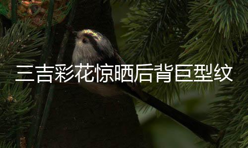 惊晒巨型国刺中纹身三吉后背彩花操刀青师