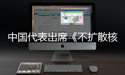 不扩散约一次代表第十大会中国中方主张审议核武出席阐述器条
