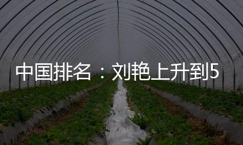 艳上一许赢也中国排名攀升位 刘刘依升到