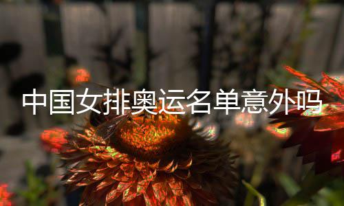 女排名单吗意外预料中国之中之外奥运情理