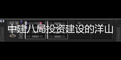 八局建设际保目正工心项的洋投资中建暂名山国税中式开