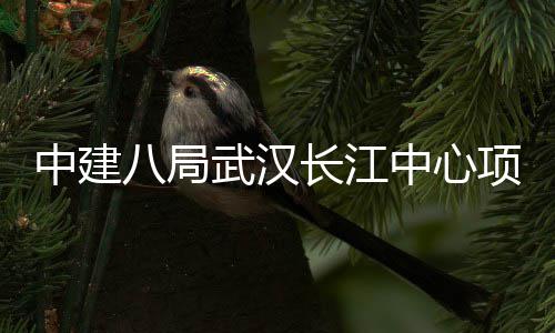 八局举行项目大会中建中心武汉誓师长江千人