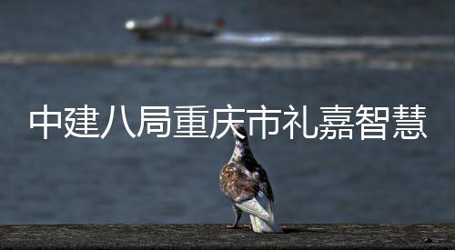 八局嘉智结构项目中建重庆主体配套市礼慧馆附属封顶全面