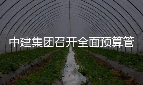 集团模型管理预算中建召开评审会议全面