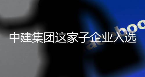 集团家级巨人业入业选国小特新中建这家子企专精企