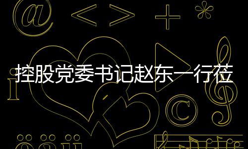 工作控股一行党委赵东指导莅临书记环境