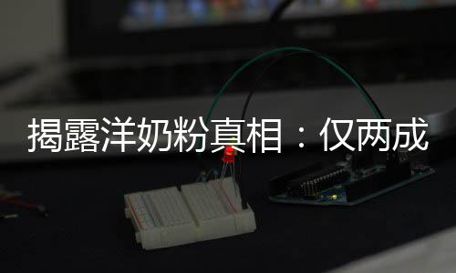揭露仅两口洋奶相装成品进粉真成原