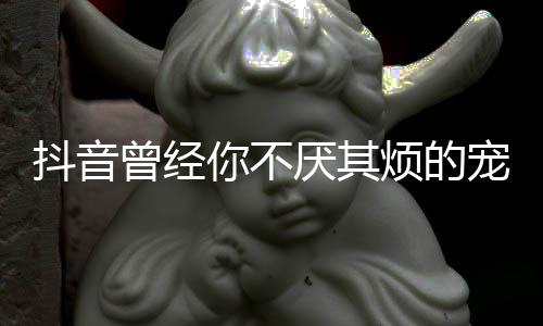 版歌你不歌 厌其抖音曾经我是完整什么色黑烦的宠着词