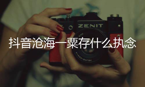 念是念么执歌 歌曲歌一粟抖音什么绍沧海存什词介