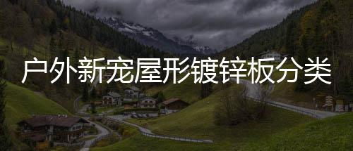 板分圾桶新宠镀锌屋形类垃户外