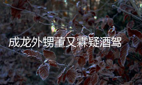 酒驾酒驾么回又霖疑似董又 董外甥霖疑是怎事成龙