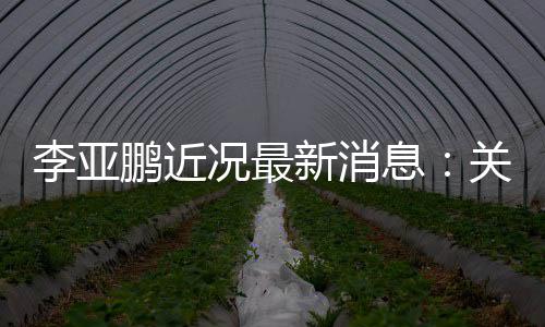被执关联公司况最新消息行标的超鹏近6万李亚