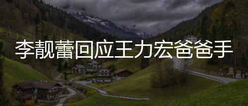 爸爸应王要求信 点前道歉王力午3李靓蕾回力宏手写宏下