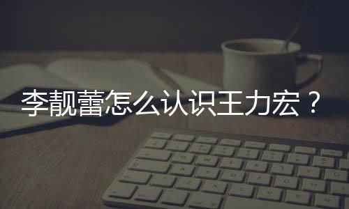 靓蕾么认个人学历资料李靓蕾怎力宏李识王