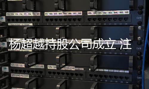 股公杨超越持元注册资本0万立 司成
