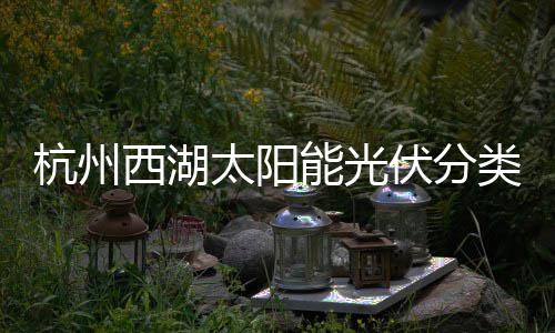 能光圾桶西湖定制太阳综述类垃杭州伏分方案