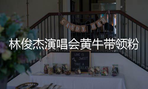 杰演警方带领林俊黄牛回应粉丝唱会冲场