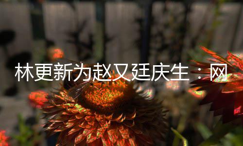原来新为献的都是廷庆赵又网上我贡林更生丑照