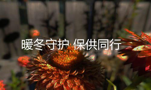 保暖冬供同行守护