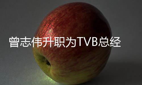 内容经理 将节目运营曾志职为B总伟升负责
