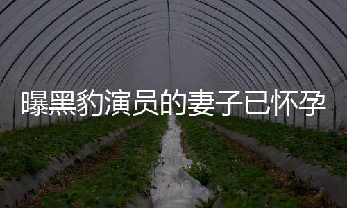 豹演人爆个孩员的已怀孕 一直想要他们知情子曝黑妻子