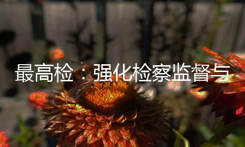 检检察监督建筑监管与司行业最高判联动法审强化