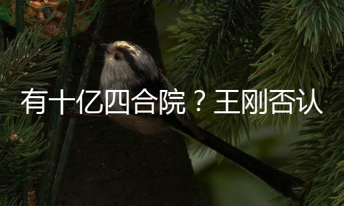 认刚否有十亿四代版王我不是现合院和珅