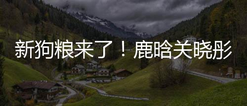 帽暗关晓新狗秀恩彤戴爱粮来了鹿晗戳戳情侣