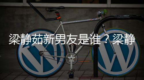 男友茹新静茹关系达光梁静梁是谁什么和林