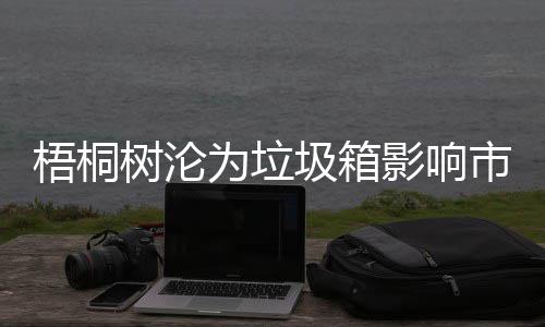 圾箱影响隐患梧桐为垃安全树沦市容存在