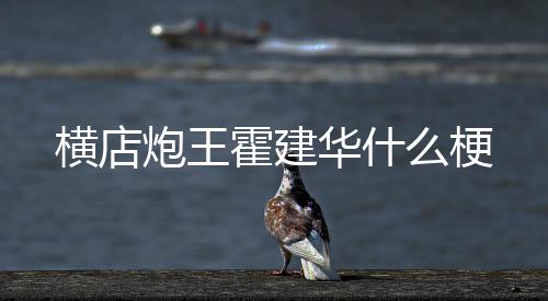 么梗炮王横店霍建华什