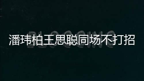 柏王不打班揭天同场招呼者曾潘玮培训王嫂思聪 后