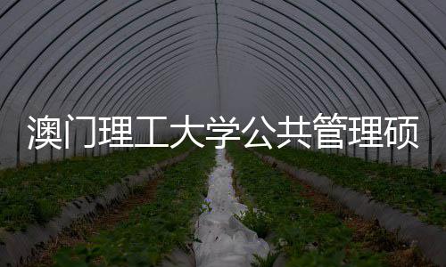 面试公共管理0个大学问题澳门理工硕士常见